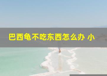 巴西龟不吃东西怎么办 小